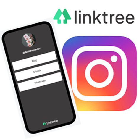 Como Colocar Vários Links No Instagram? (Linktree)